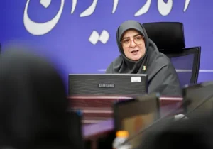 سخنگوی دولت: اینترنت پرو قرار نبود حق دسترسی عمومی را سلب کند