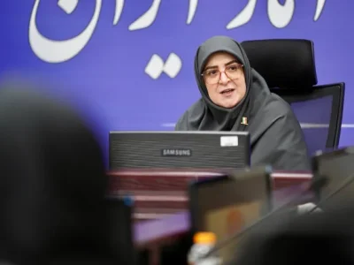 سخنگوی دولت: اینترنت پرو قرار نبود حق دسترسی عمومی را سلب کند