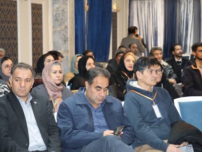 توانمندی‌های کم‌نظیر زمین‌شناسی زرند در کانون توجه جامعه علمی کشور