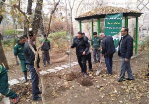 کاشت ۱۴۵۰ اصله نهال در منطقه یک؛ گامی عملی در مسیر طرح ملی یک میلیارد درخت