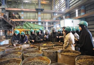 فولاد سنگان؛ نمادی از پیشرفت صنعتی در مسیر تبیین دستاوردهای ملی