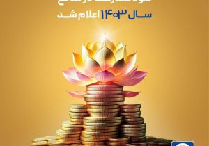 سود مشارکت در منافع سال ۱۴۰۳ بیمه پاسارگاد اعلام شد