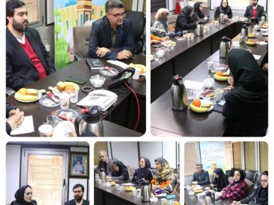 برگزاری نشست هم اندیشی کمیته سلامت سالمندان در منطقه۹