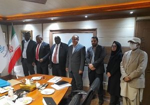 زیمبابوه آماده همکاری استراتژیک از طریق چابهار است