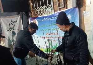 توزیع شبانه نهال در میادین و مقابل مساجد منطقه ۴ / برنامه های استقبال از بهار در زمان جنگ نیز طبق روال همیشه اجرا می شود