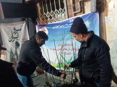 توزیع شبانه نهال در میادین و مقابل مساجد منطقه ۴ / برنامه های استقبال از بهار در زمان جنگ نیز طبق روال همیشه اجرا می شود