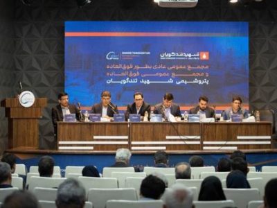 افزایش سرمایه ۴۲ درصدی شگویا تصویب شد