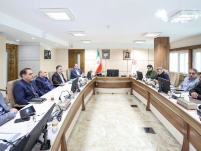 ایجاد «مسیر سبز» برای طرح‌های مس ضروری است