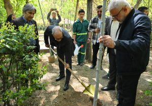 بوستان قیطریه میزبان نهال های تازه در روز تولد امام شهید بود