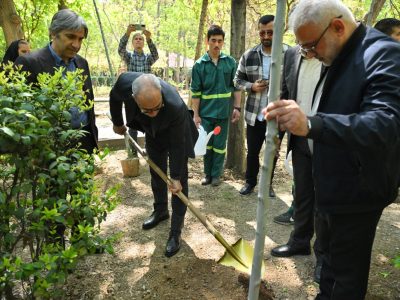 بوستان قیطریه میزبان نهال های تازه در روز تولد امام شهید بود