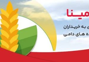 «حامینا» محصول جدید بانک ملت برای تامین مالی نهاده های دامی