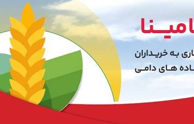 «حامینا» محصول جدید بانک ملت برای تامین مالی نهاده های دامی