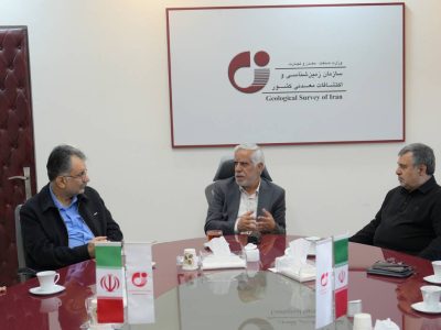 دیدار نمایندگان مجلس شورای اسلامی با معاون وزیر صمت و رئیس سازمان زمین‌شناسی و اکتشافات معدنی