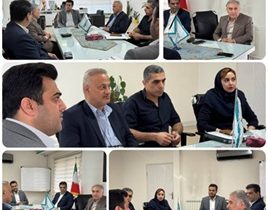 نشست بررسی راهکارهای ارائه و توسعه خدمات پرستاری در منزل با حضور معاون بهداشت و درمان بنیاد شهید و امور ایثارگران مازندران