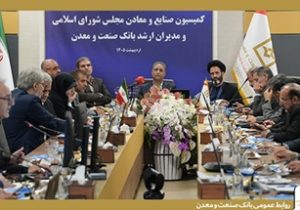 تأکید اعضای کمیسیون صنایع و معادن مجلس بر حمایت از بانک صنعت و معدن برای پشتیبانی از تولید