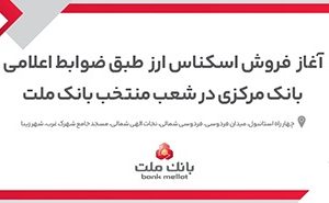 آغاز خرید و فروش ارز در شعب منتخب بانک ملت