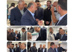 مدیرعامل بیمه «دی» از شعبه تخصصی بیمههای درمان بازدید کرد