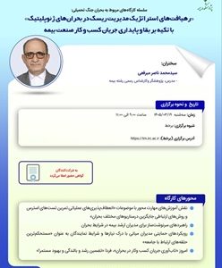 رهیافت های استراتژیک مدیریت ریسک در بحران ژئوپلیتیک