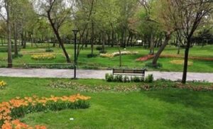 تملک دو باغ طرشت برای تبدیل به بوستان عمومی /دو باغ طرشت به بوستان عمومی تبدیل میشود