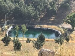 توسعه نیروگاه خورشیدی بوستان جنگلی سرخهحصار به ۱۵۵ کیلووات