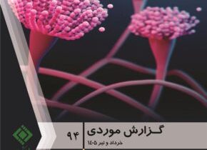 گزارش موردی «بینشهای جدید در مورد ریسکهای نوظهور» منتشر شد