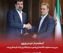 اسفندیار حیدریپور سرپرست معاونت اقتصادی و امور سرمایهگذاری بانک گردشگری شد