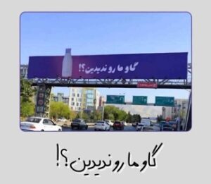 کمپین «گاو ما رو ندیدین؟» از تهران آغاز شد؛ «اکران تیزینگ پگاه» در مسیر توسعه به شهرهای کشور
