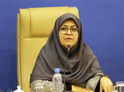 بازمهندسی ساختار سازمان ملی استاندارد، کارآمدی را افزایش می‌دهد