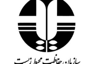 تعامل نزدیک طلای موته با سازمان حفاظت محیط زیست