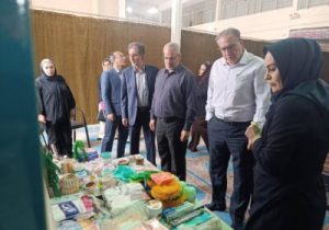 ضیایی: تقویت همکاری صندوق‌های خرد محلی با صندوق کارآفرینی امید، به توسعه ظرفیت‌های اشتغال کمک می‌کند