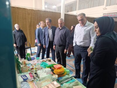 ضیایی: تقویت همکاری صندوق‌های خرد محلی با صندوق کارآفرینی امید، به توسعه ظرفیت‌های اشتغال کمک می‌کند